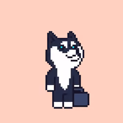 Doge with the suitcase