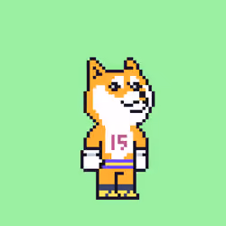 Doge Fight 15