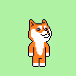 Doge