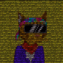 657
