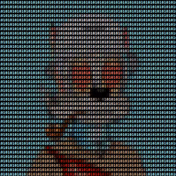 304