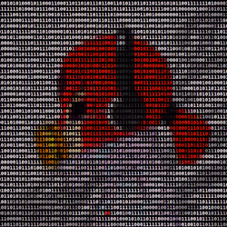 223