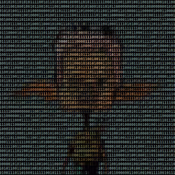 838