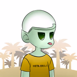 5036