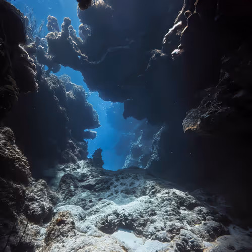 The Portal Below