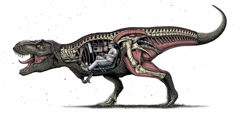 Item #59600040019 Media