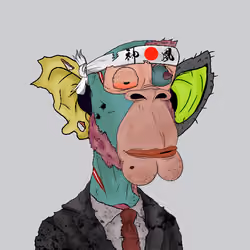 RR Ball Bag Ape Club #171