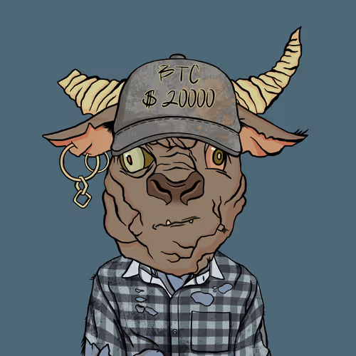 Bearmarketwtf