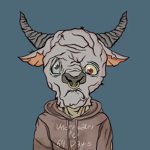 Bearmarketwtf