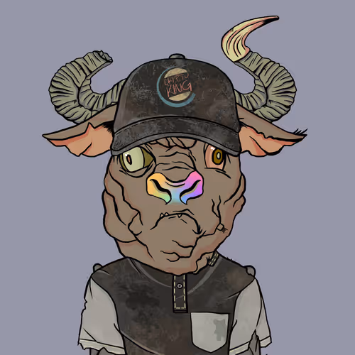 Bearmarketwtf