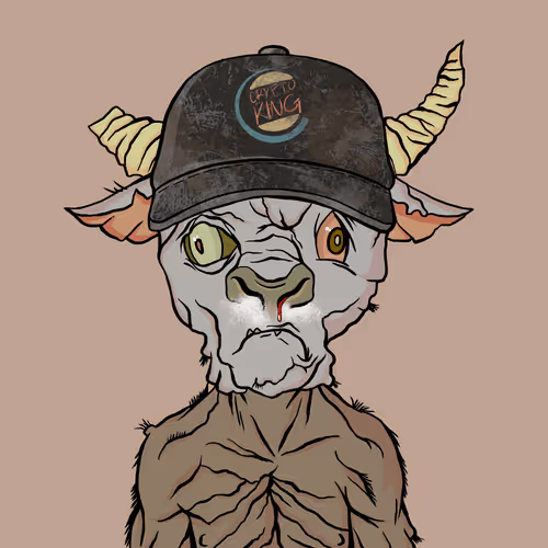 Bearmarketwtf