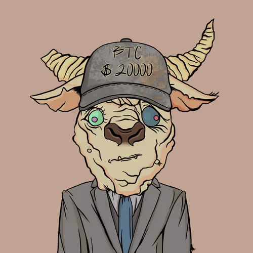 Bearmarketwtf