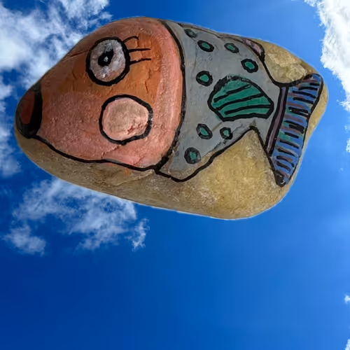 Fish rock