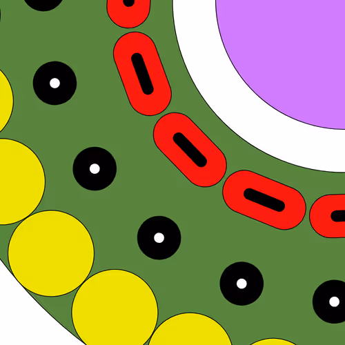Gift Of Pepe 879660923