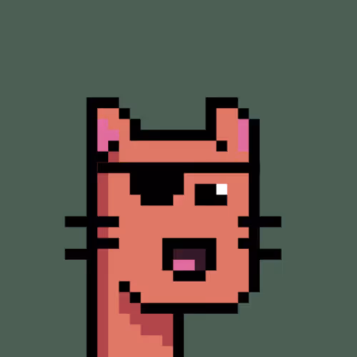 Cats Have 9 Lives