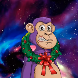 Santa Ape Club #318
