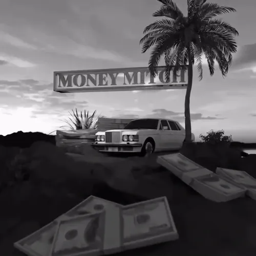 Money Mitch I Don T Trust These Hoes