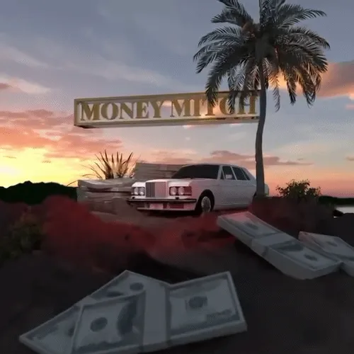 Money Mitch I Don T Trust These Hoes