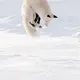 7579
