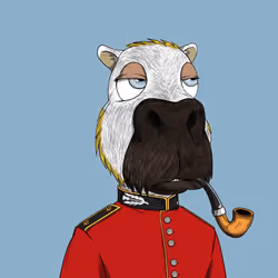 526