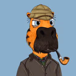 Manly Bara #2182