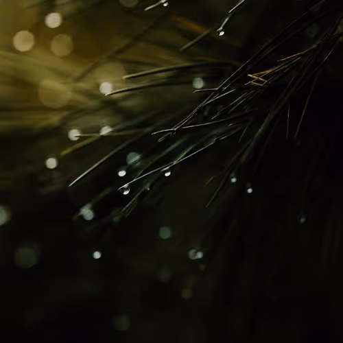 Abstract - VjkGRFX6lZ