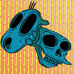 SKULLS#7126