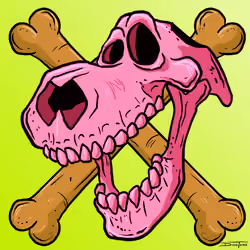 SKULLS#6593