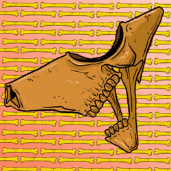 SKULLS#5704