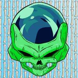 SKULLS#8956