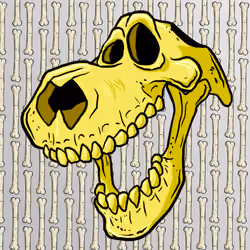 SKULLS#2545