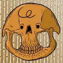 SKULLS#3273