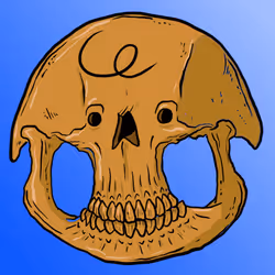 Item Media