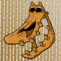 5049