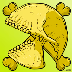 SKULLS#6075