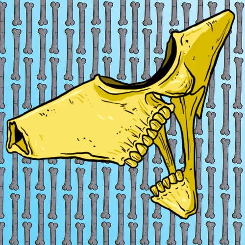 SKULLS#6383