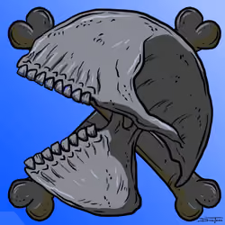 SKULLS#9992