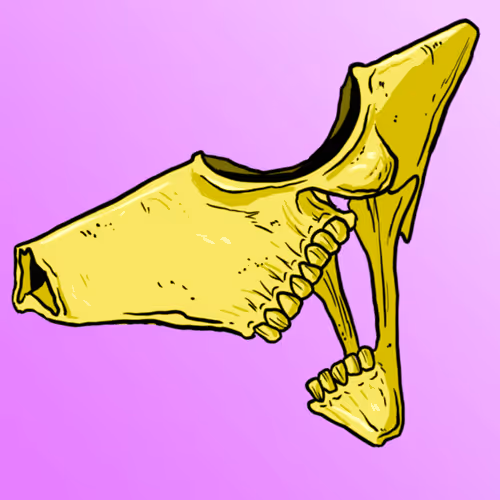 SKULLS#2032