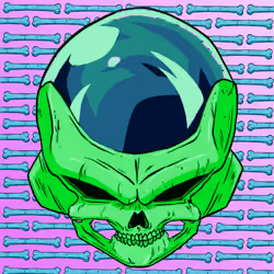 SKULLS#4338