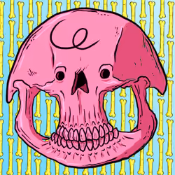 SKULLS#6578
