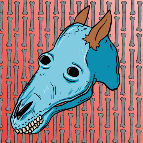 SKULLS#1737