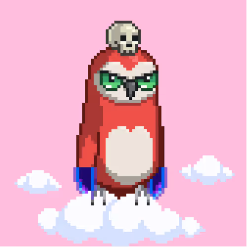 Birdbuilders