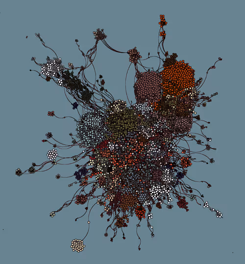 Item #8 Media