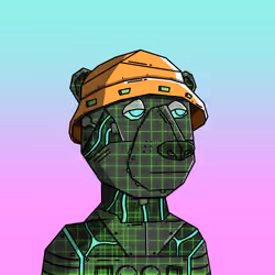 Alpha Bear #5691