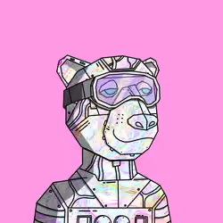 Alpha Bear #5608