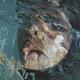 Morphing Muse