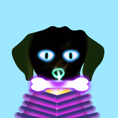Q Doge404