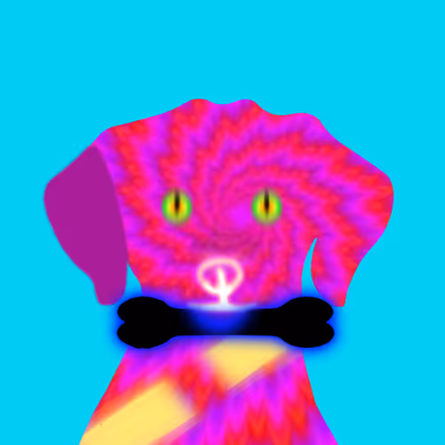 Q Doge404