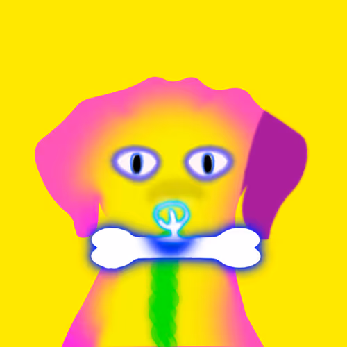 Q Doge404