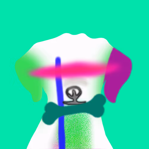 Q Doge404